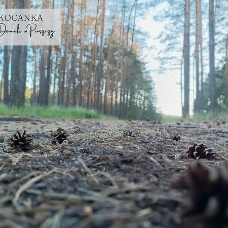 Domek W Puszczy ,,Kocanka" Mezyk Экстерьер фото